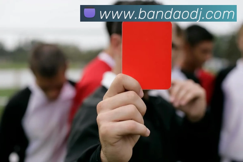 半岛电竞APP 封面图